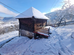 Vidik, Zlatibor